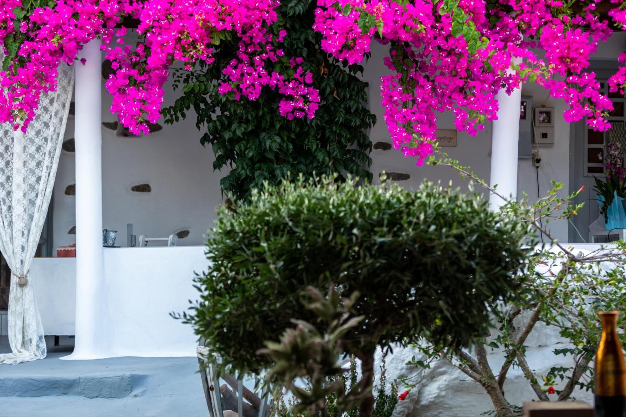 Sunrock Suites Stelida (Naxos) Exterior foto